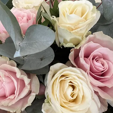 Quintessenza Casa In * אז'אקסיו